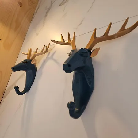 White Dunajec Sauna & Bubles Dağ evi Biały Dunajec